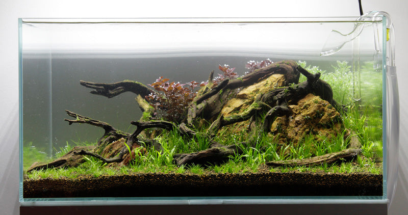 Layout 77 (80 L)