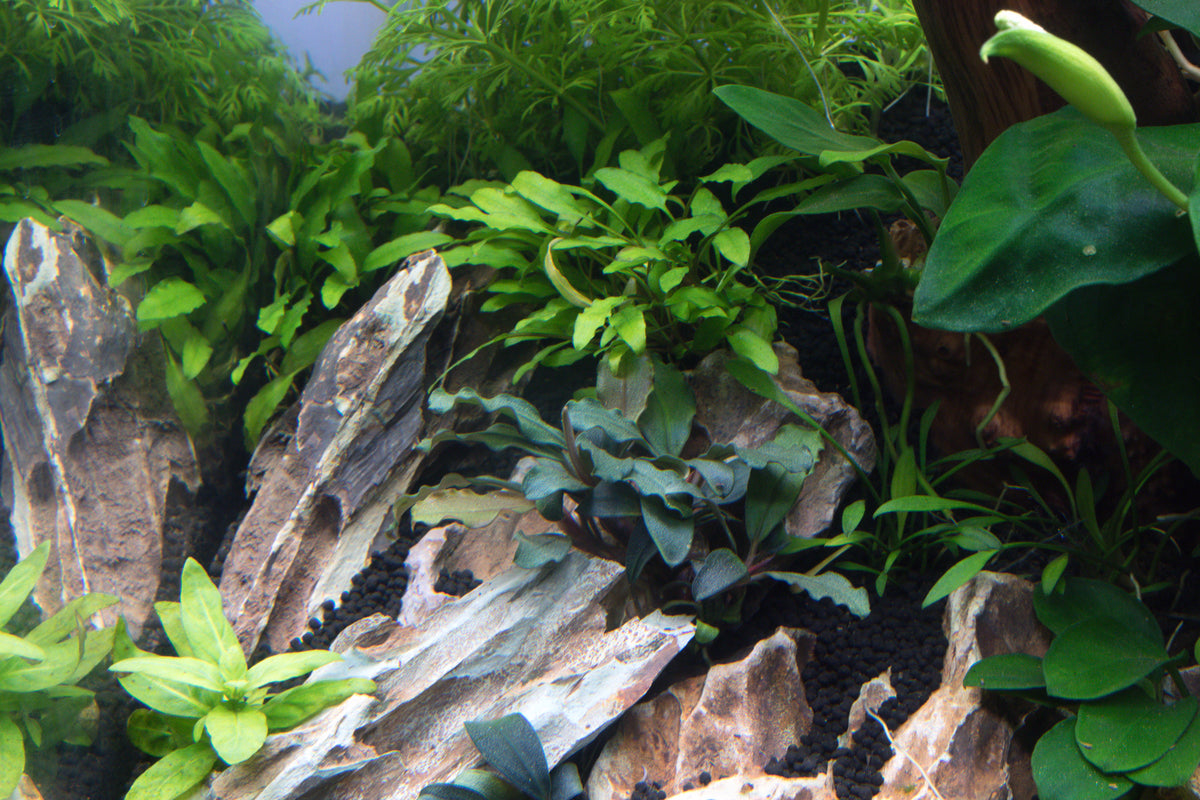 Layout 115 (35 L)