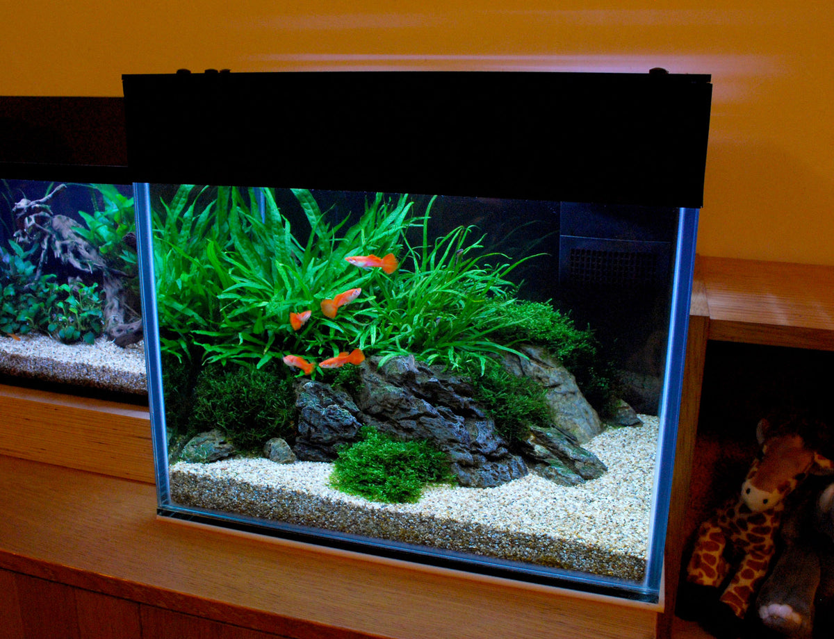 Layout 106 (57 L)