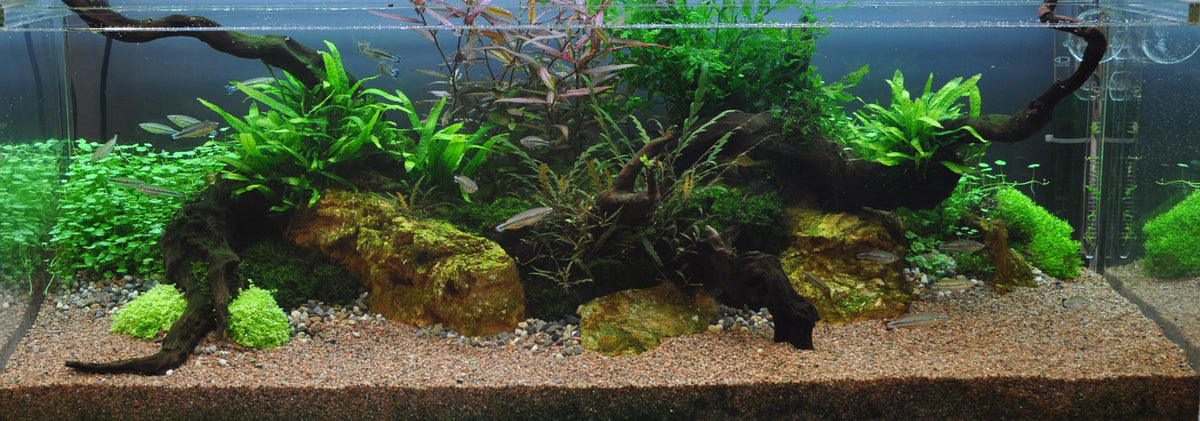 Layout 7 (270 L)