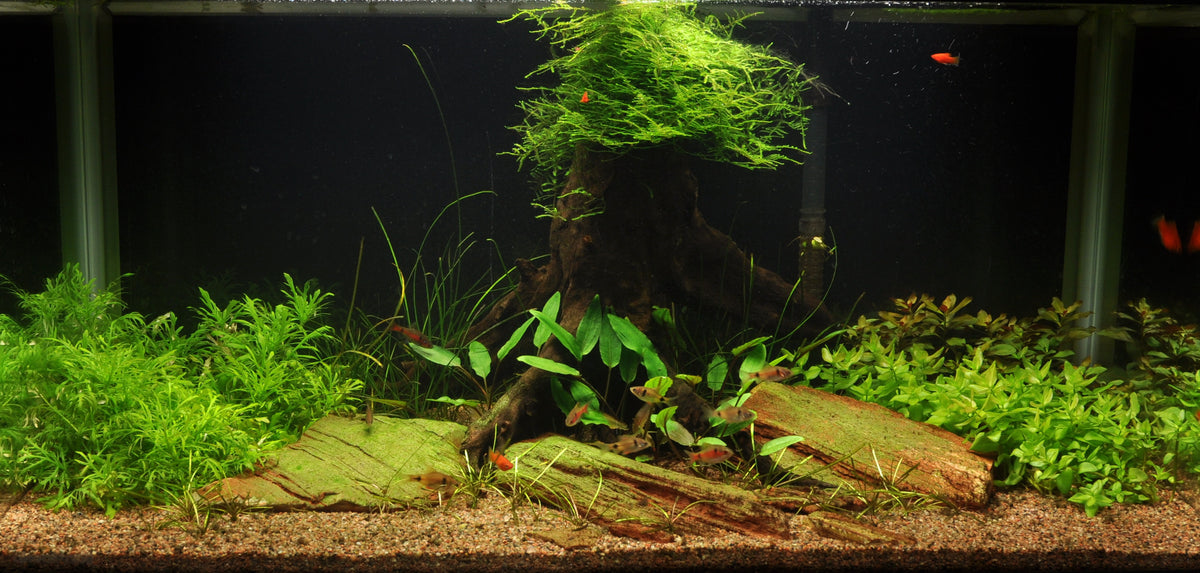 Layout 17 (128 L)
