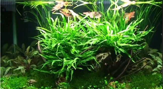 Layout 19 (140 L)