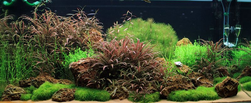 Layout 23 (360 L)