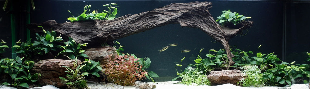 Layout 27 (350 L)