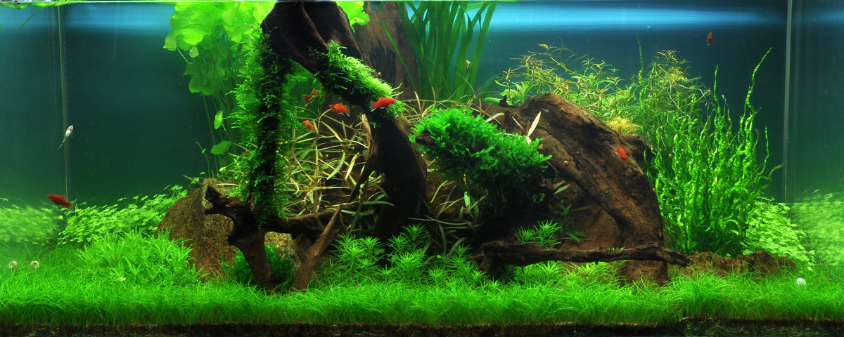 Layout 38 (225 L)