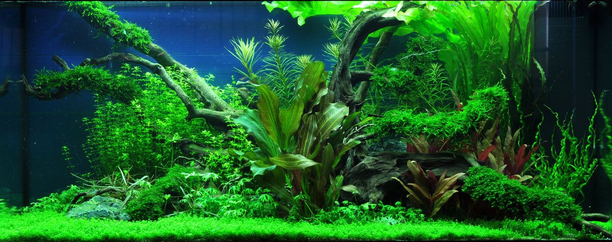 Layout 41 (180 L)