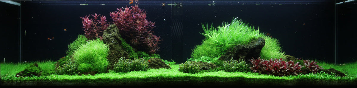 Layout 53 (225 L)
