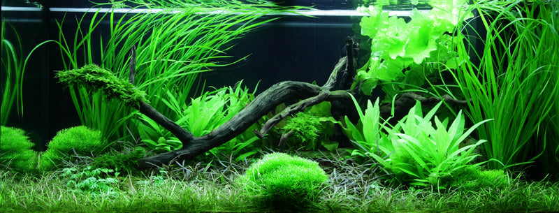 Layout 61 (180 L)