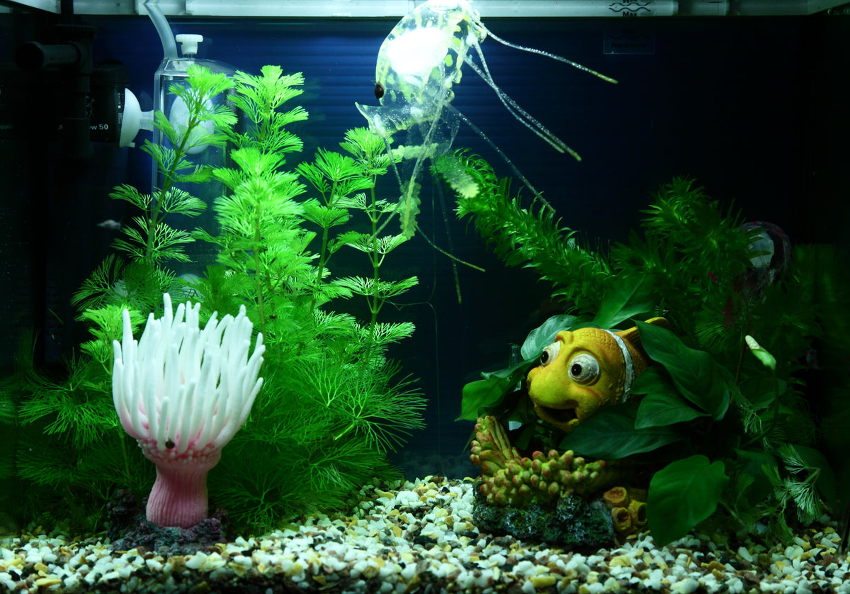 Layout 88 (20 L)