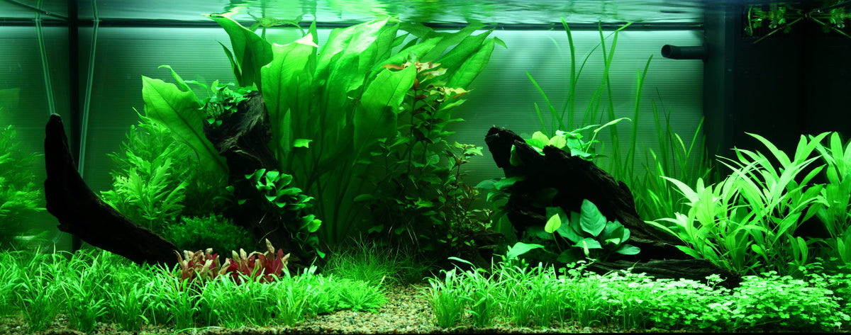 Layout 89 (180 L)