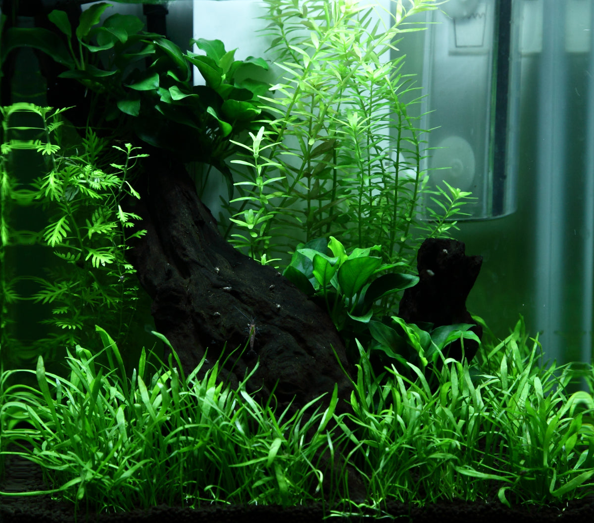 Layout 92 (15 L)