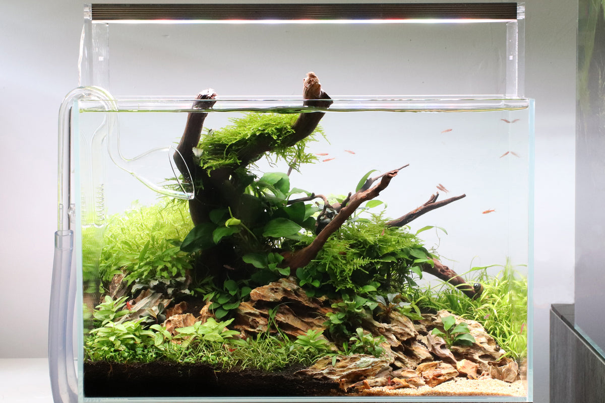 Layout 115 (35 L)