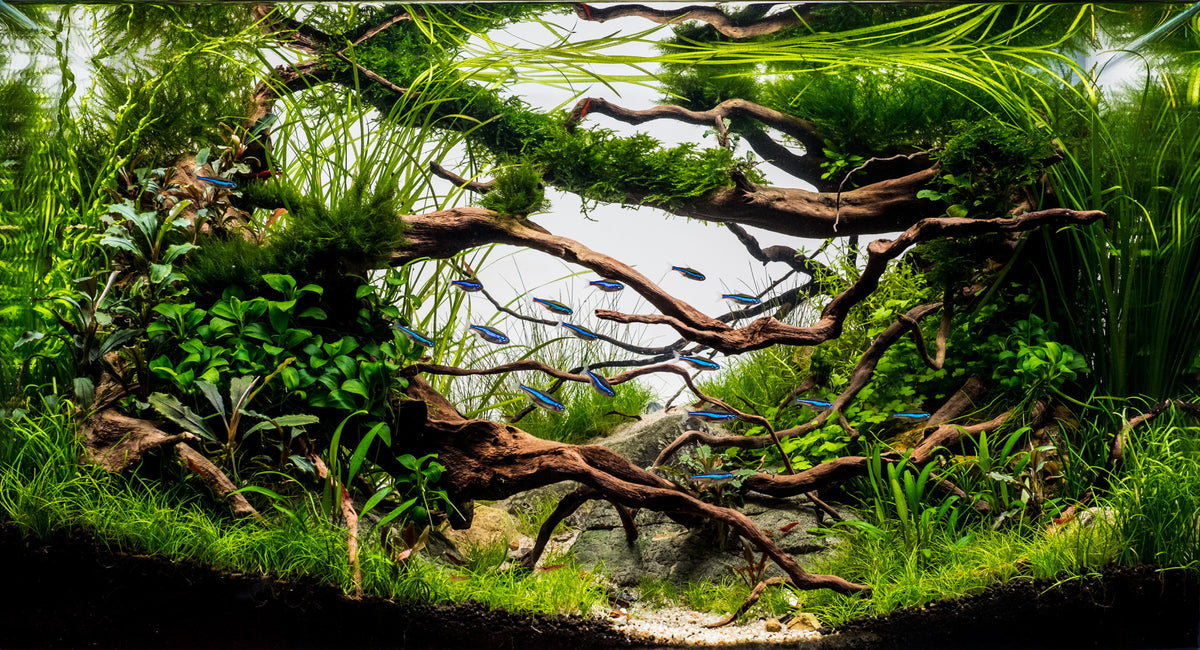Layout 117 (80 L)