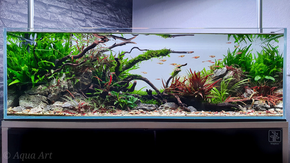 Layout 120 (70 L)