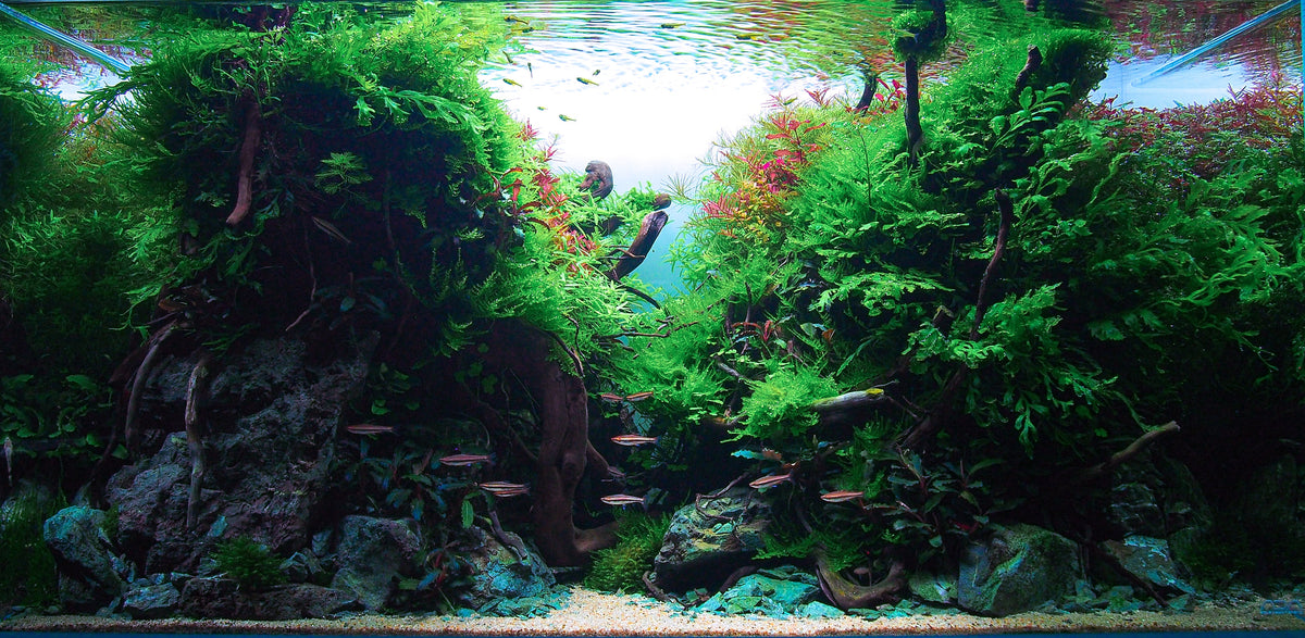 Layout 121 (180 L)