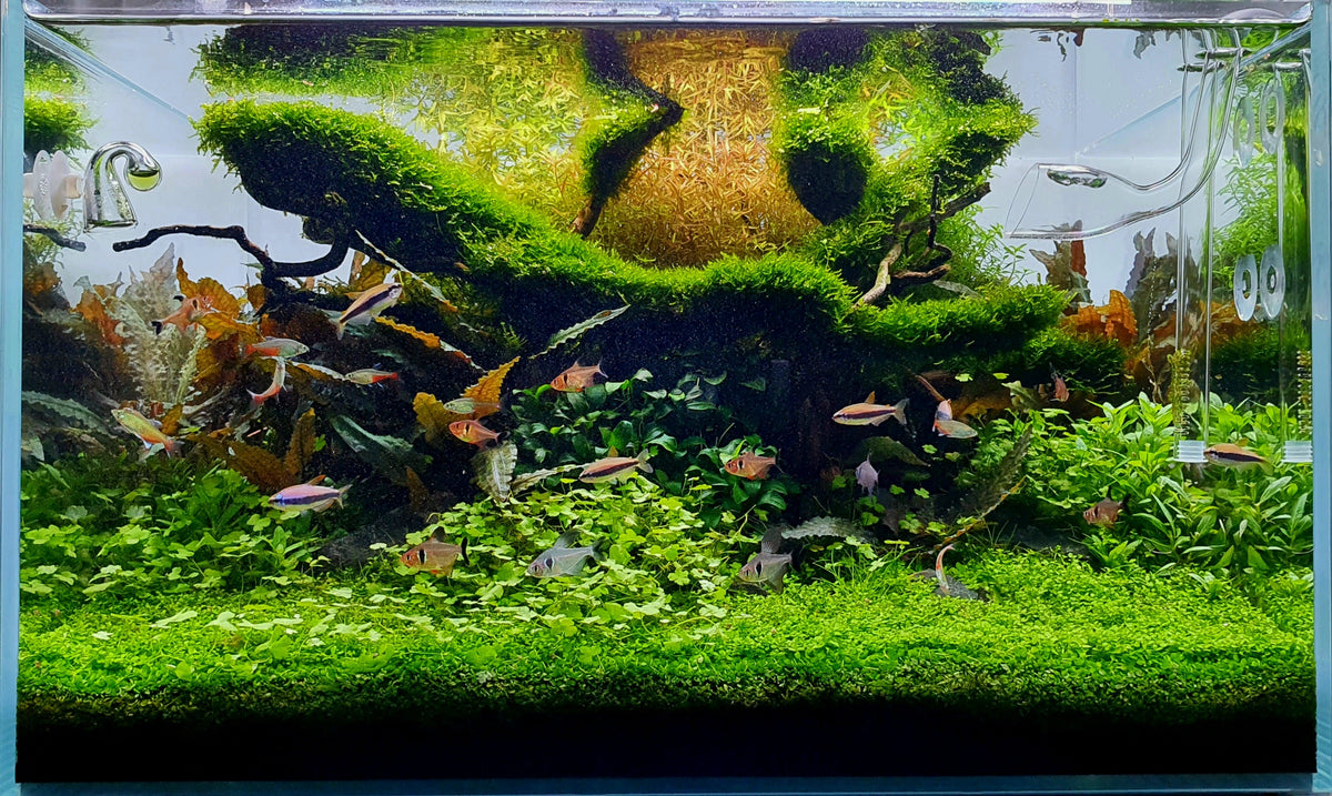 Layout 122 (110 L)