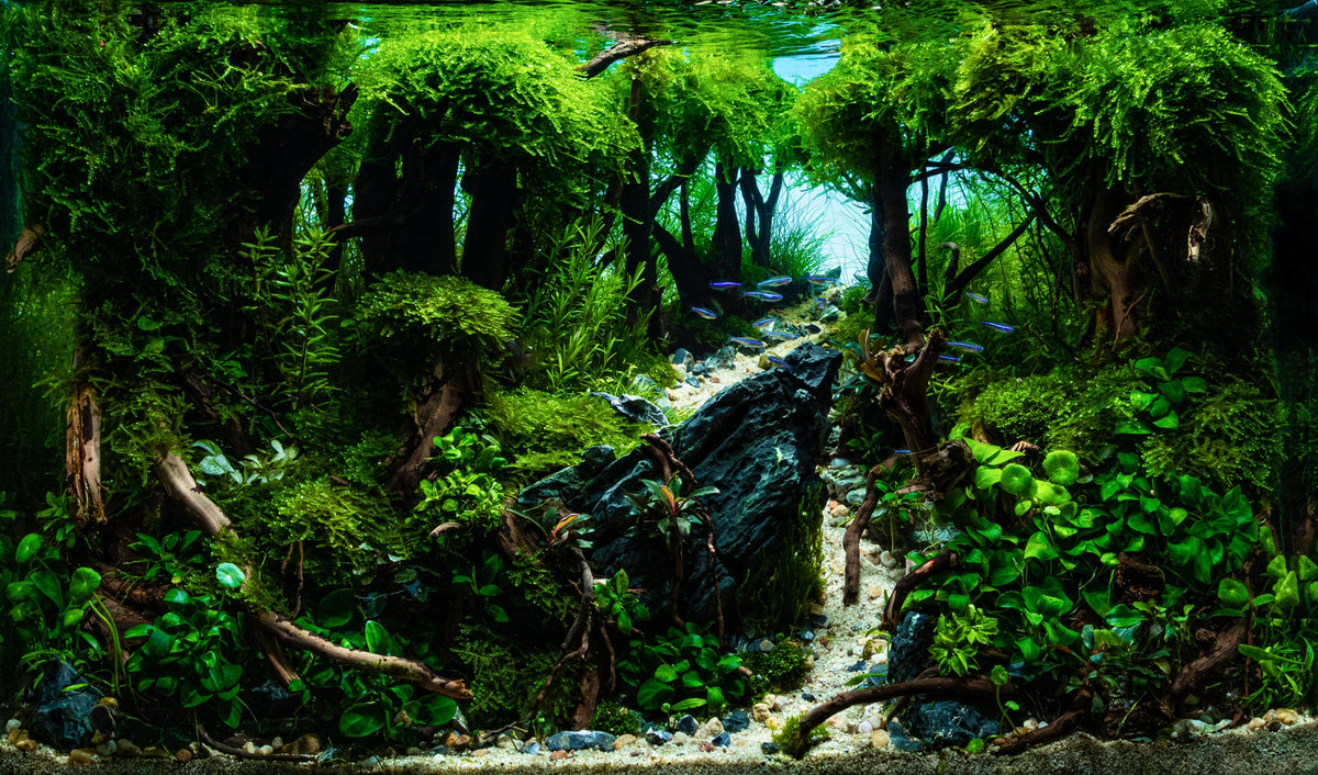 Layout 123 (82 L)
