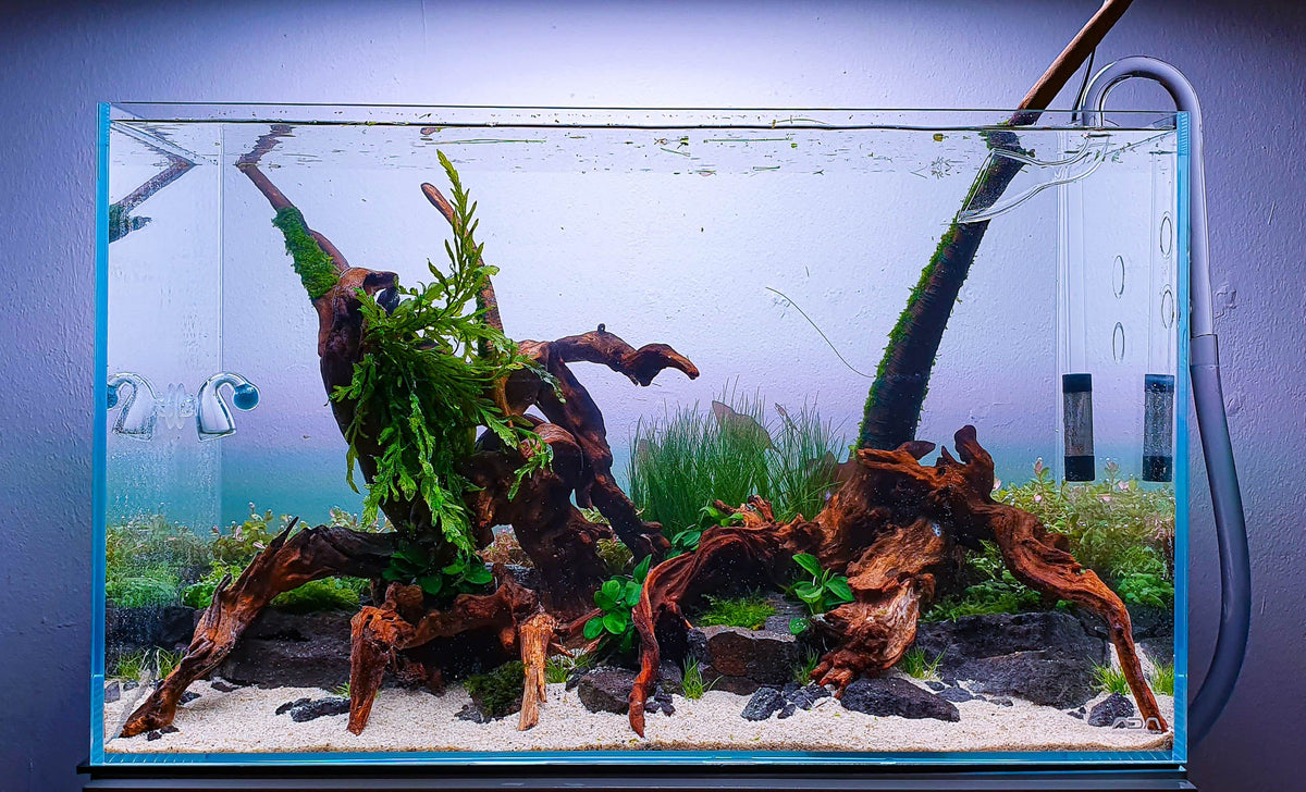 Layout 125 (54 L)