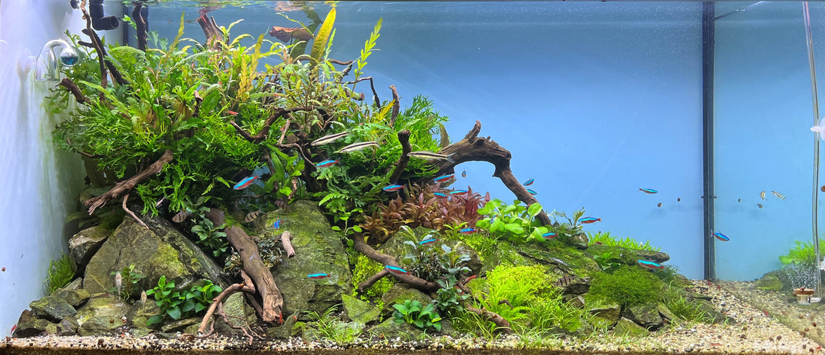 Layout 129 (272 L)