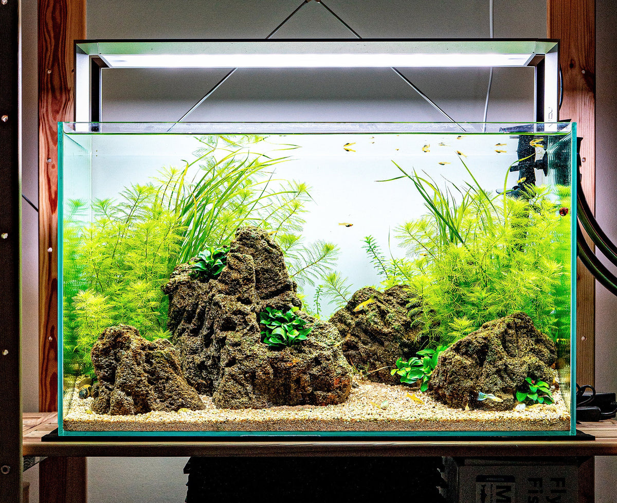 Layout 130 (64 L)
