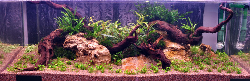 Layout 7 (270 L)