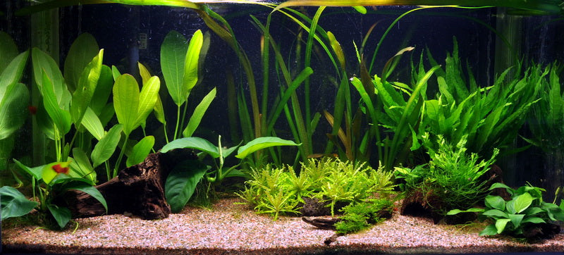 Layout 16 (128 L)