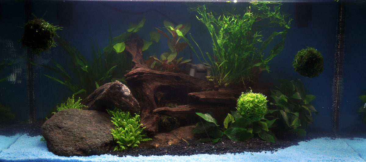 Layout 33 (54 L)