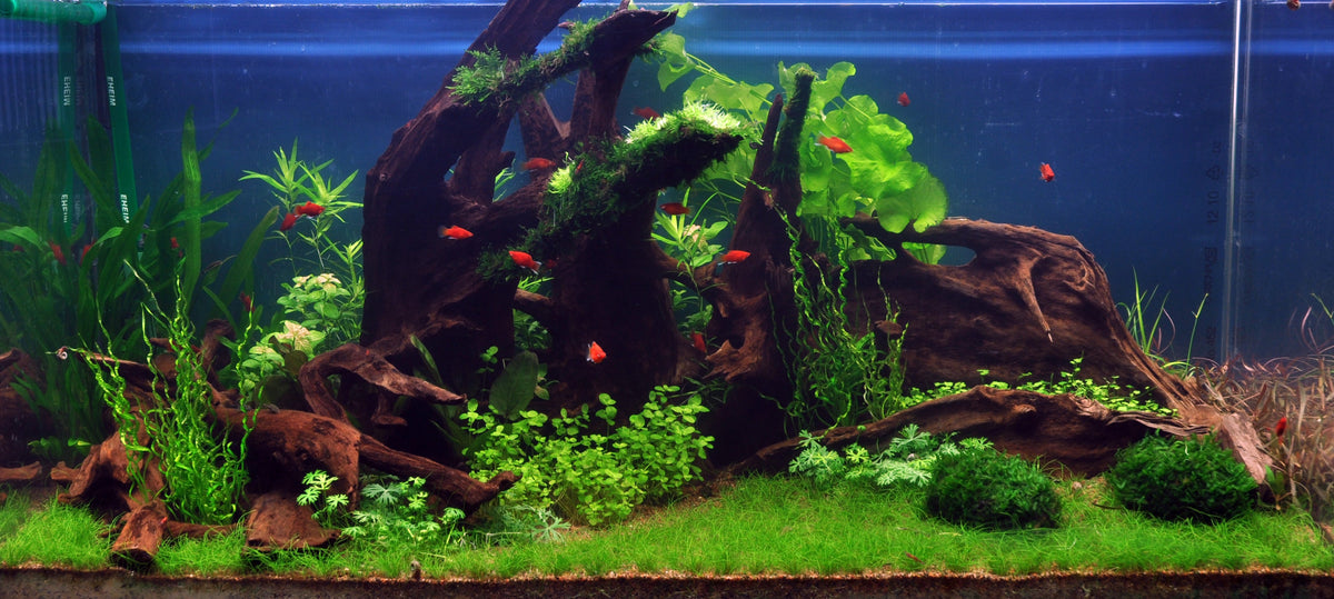 Layout 35 (360 L)