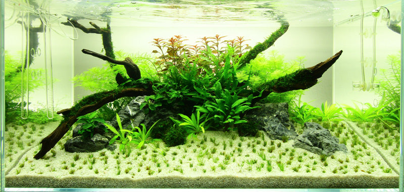Layout 45 (180 L)