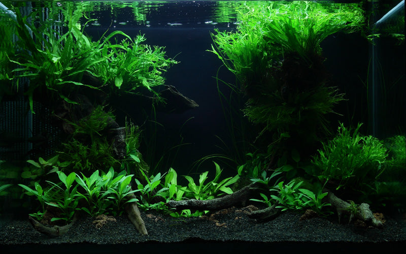 Layout 47 (100 L)