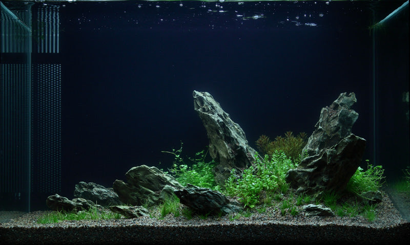 Layout 49 (100 L)