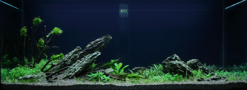 Layout 50 (300 L)