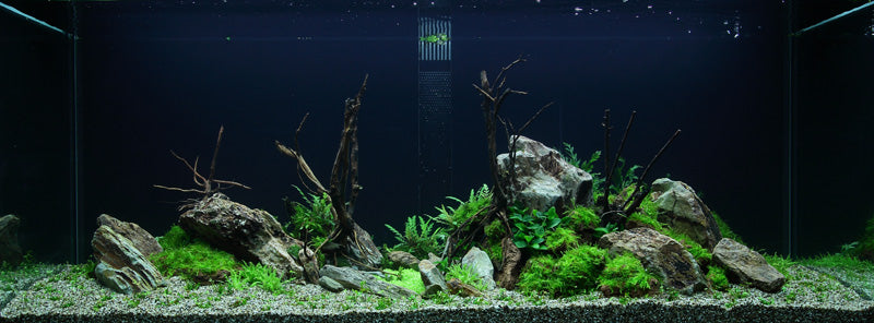 Layout 52 (300 L)