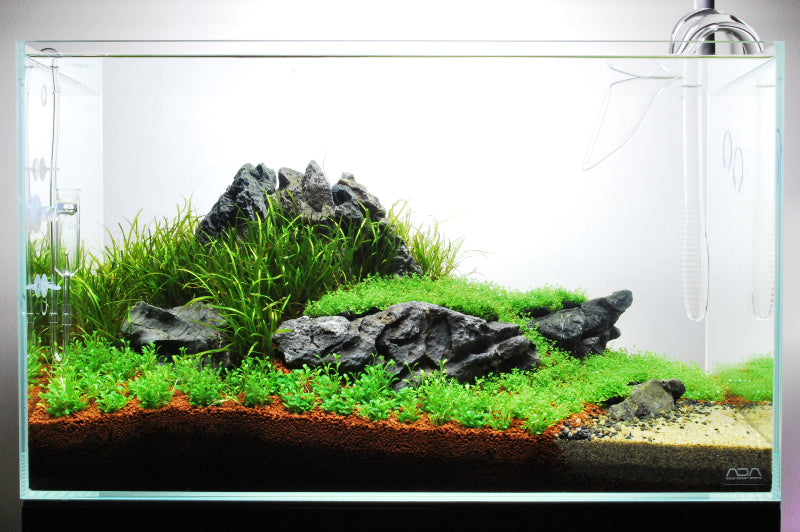 Layout 59 (60 L)