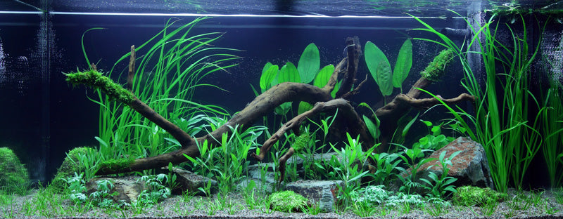 Layout 61 (180 L)