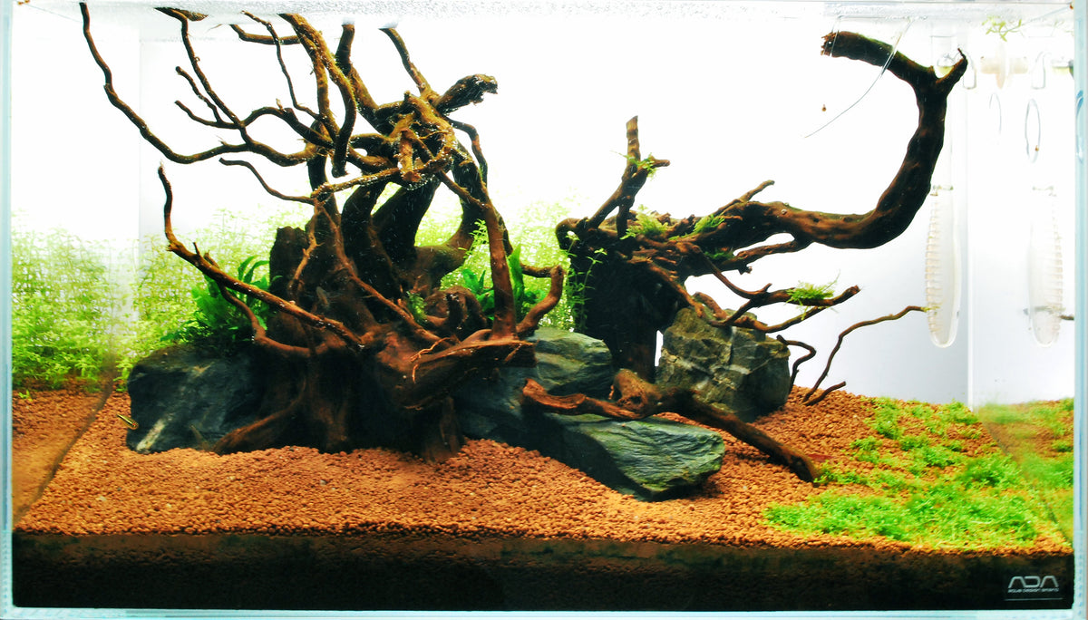 Layout 71 (60 L)