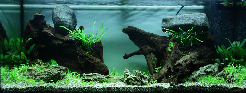 Layout 80 (180 L)