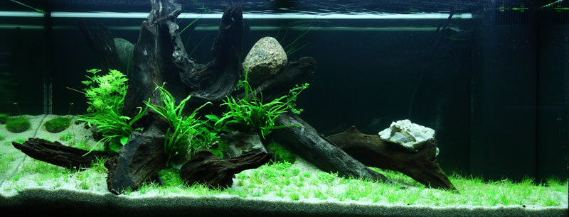 Layout 81 (180 L)