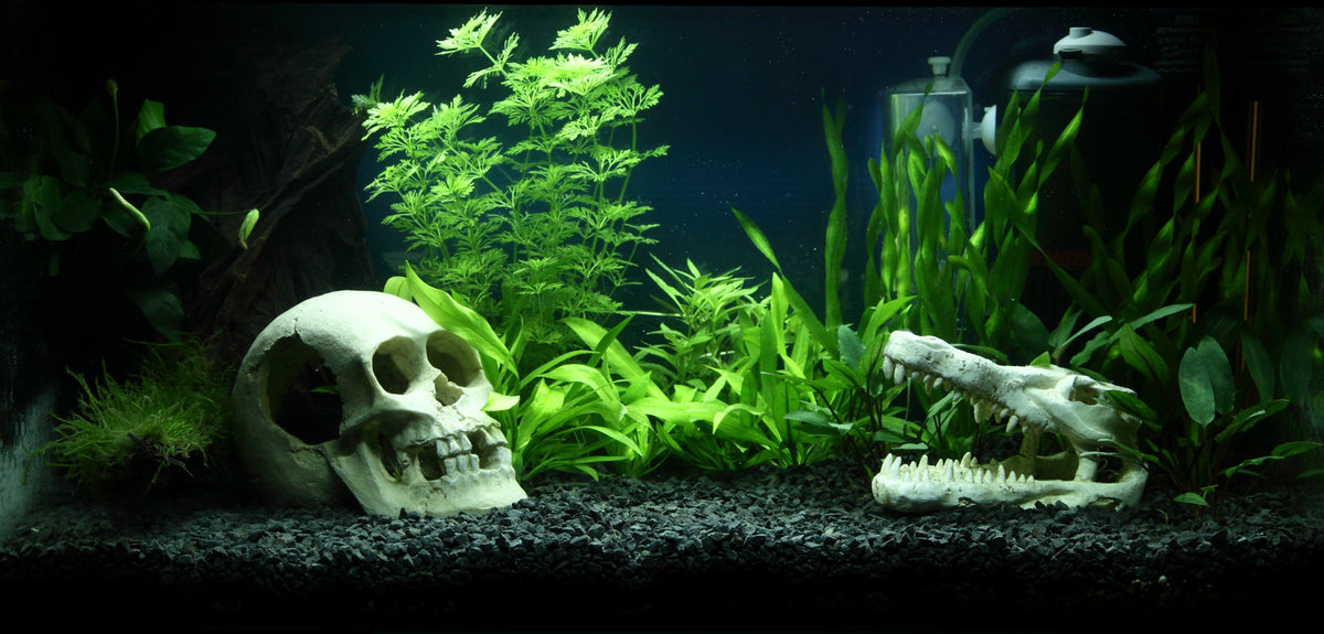 Layout 90 (54 L)