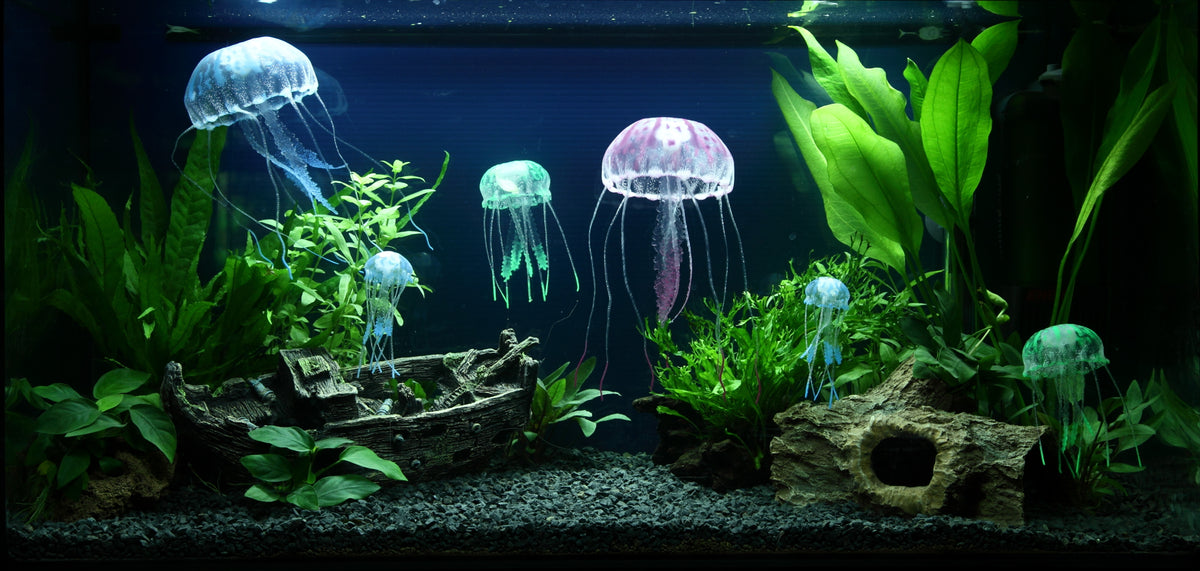 Layout 91 (96 L)