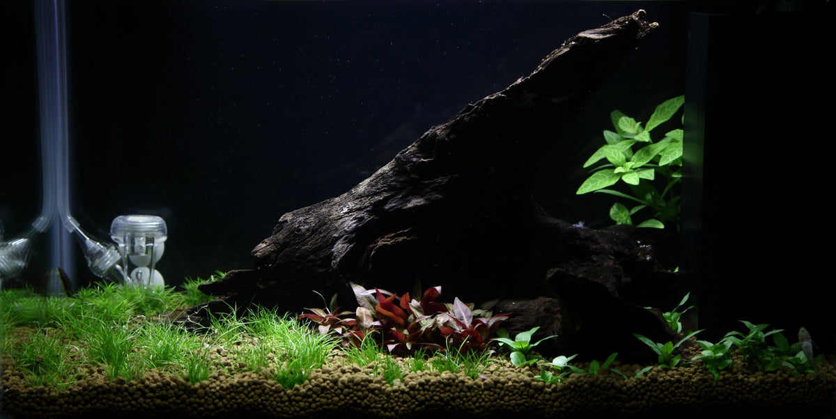 Layout 93 (25 L)