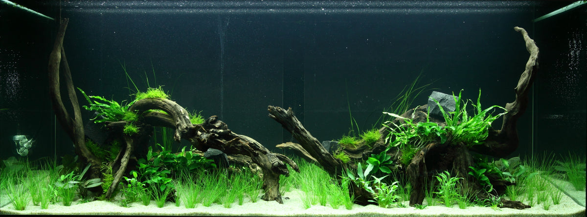 Layout 95 (300 L)