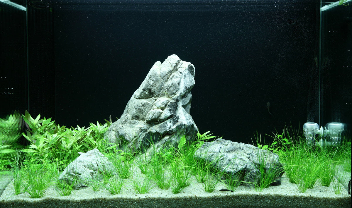 Layout 100 (100 L)