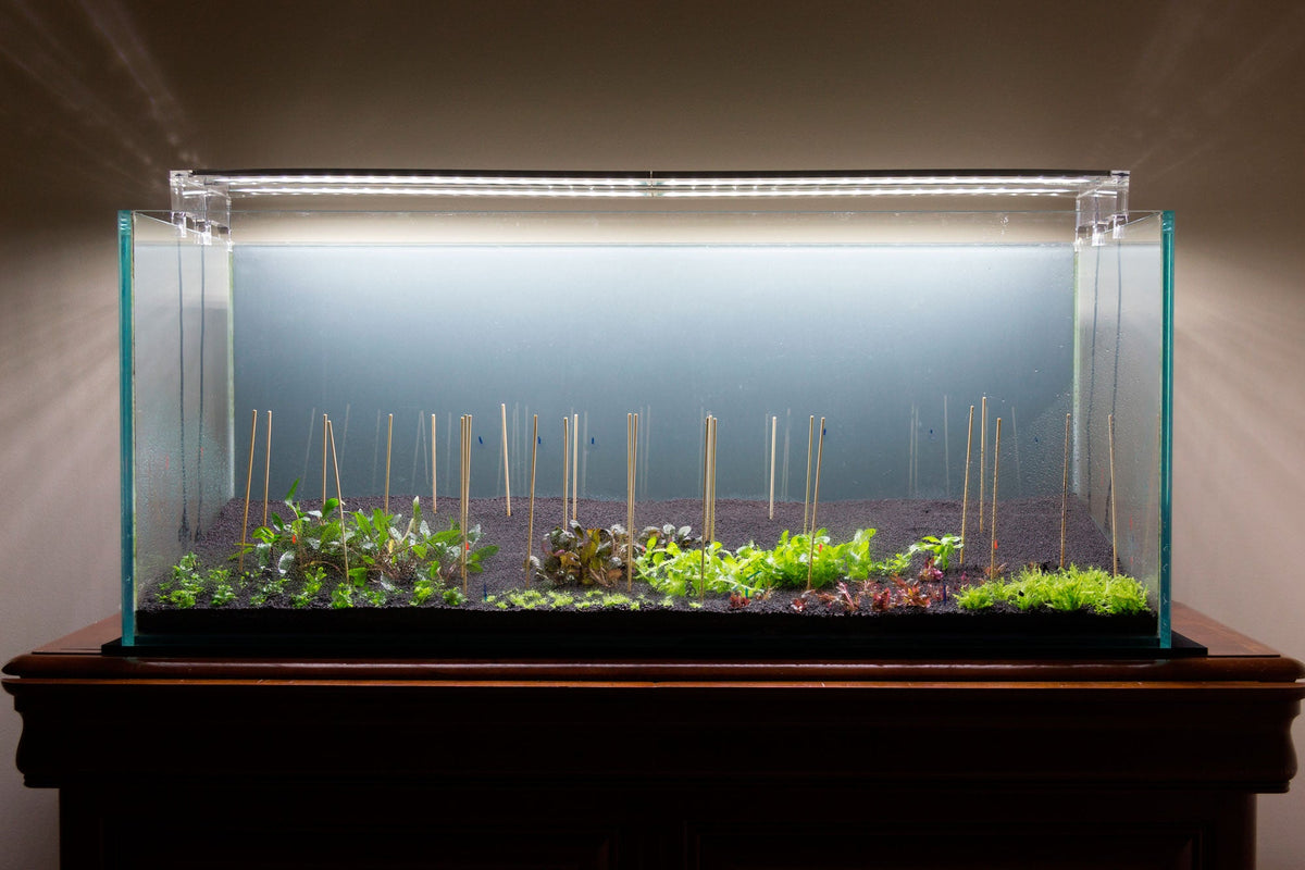 Layout 105 (300 L)