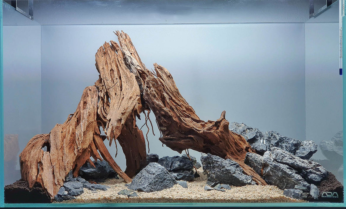 Layout 124 (54 L)