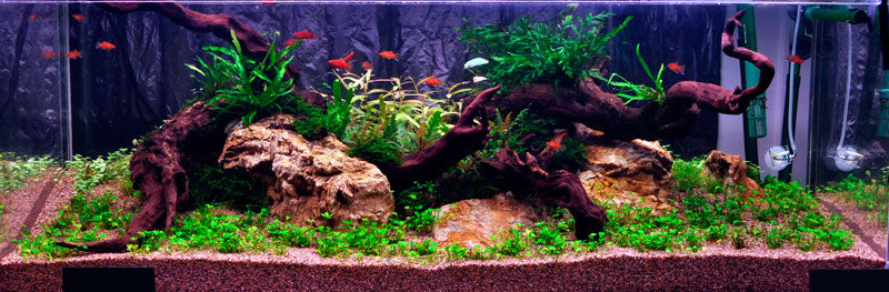 Layout 7 (270 L)