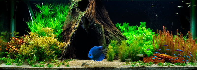 Layout 10 (325 L)
