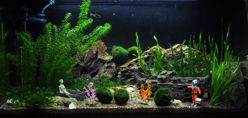 Layout 15 (112 L)