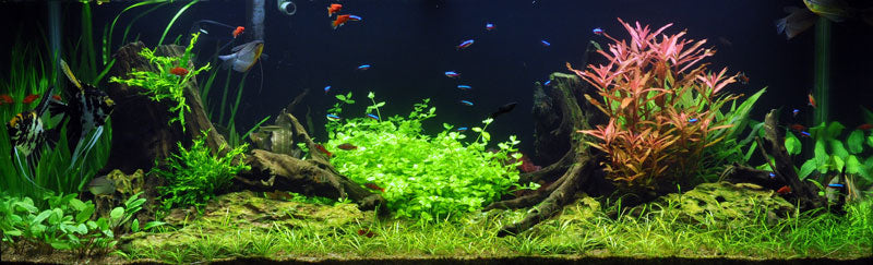 Layout 18 (297 L)