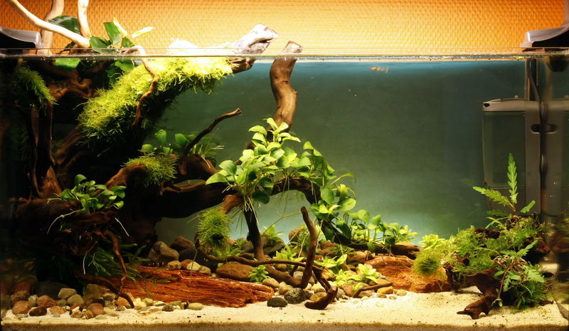 Layout 28 (54 L)